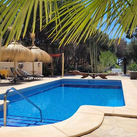 Casa Caledonia - Appartement Dans Villa Avec Jardin Arbore Et Piscine A 500 M De La Mer ベニッサ エクステリア 写真
